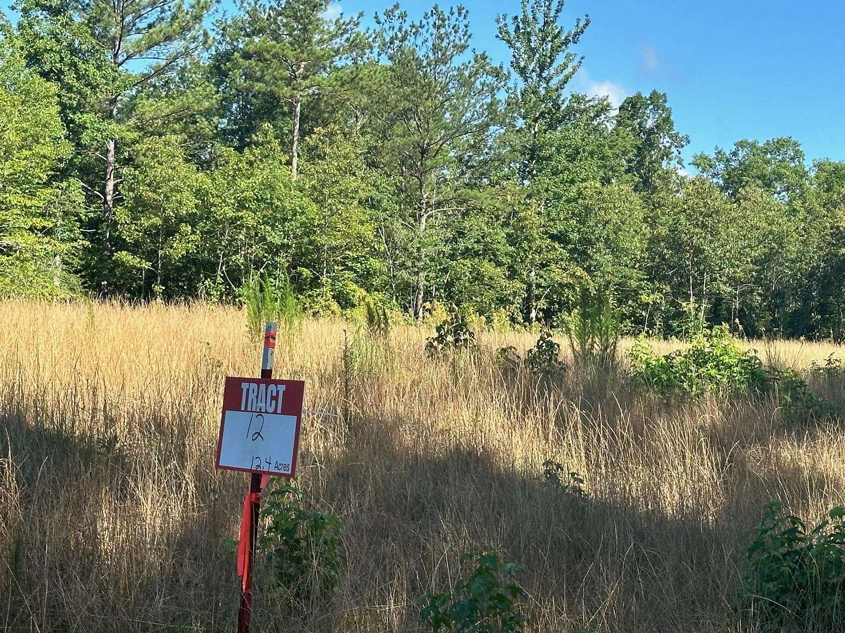 12.4 Acres of Land for Sale in Savannah, Tennessee