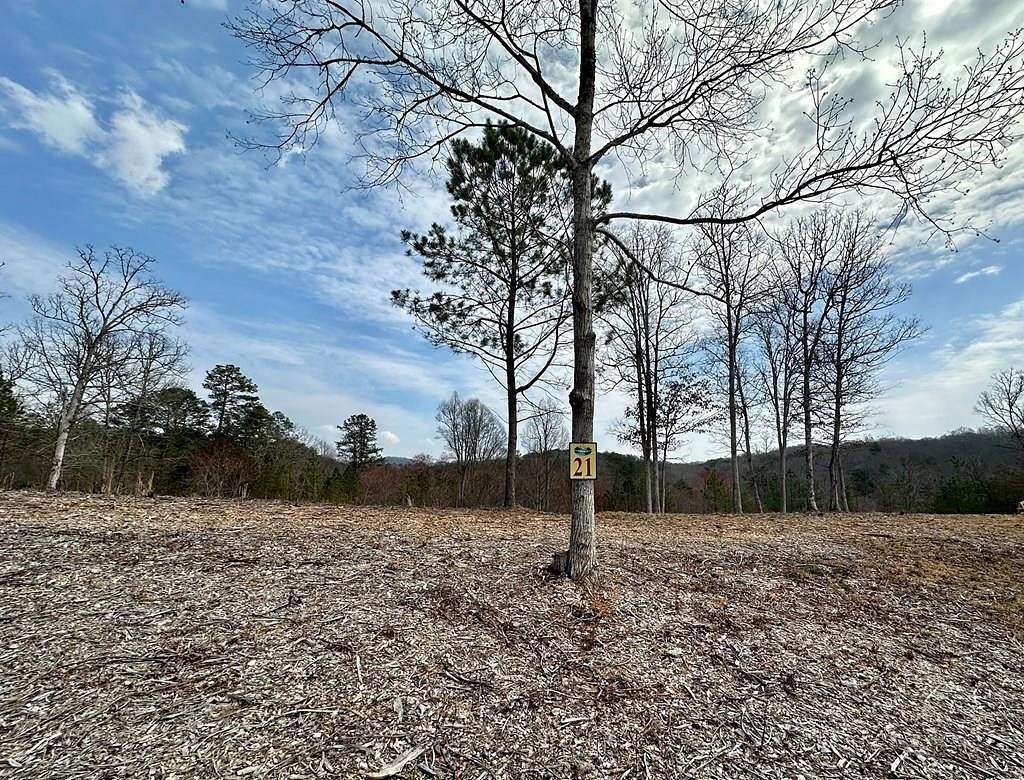 0.97 Acres of Land for Sale in Mineral Bluff, Georgia