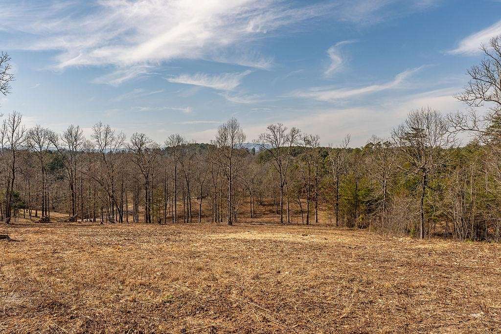 1.11 Acres of Residential Land for Sale in Mineral Bluff, Georgia
