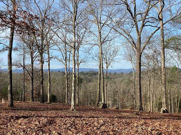 1.06 Acres of Land for Sale in Mineral Bluff, Georgia