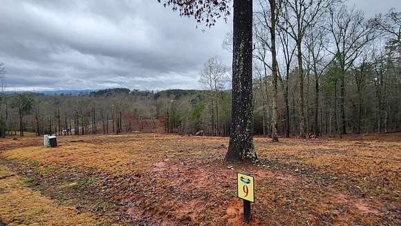 1.04 Acres of Land for Sale in Mineral Bluff, Georgia