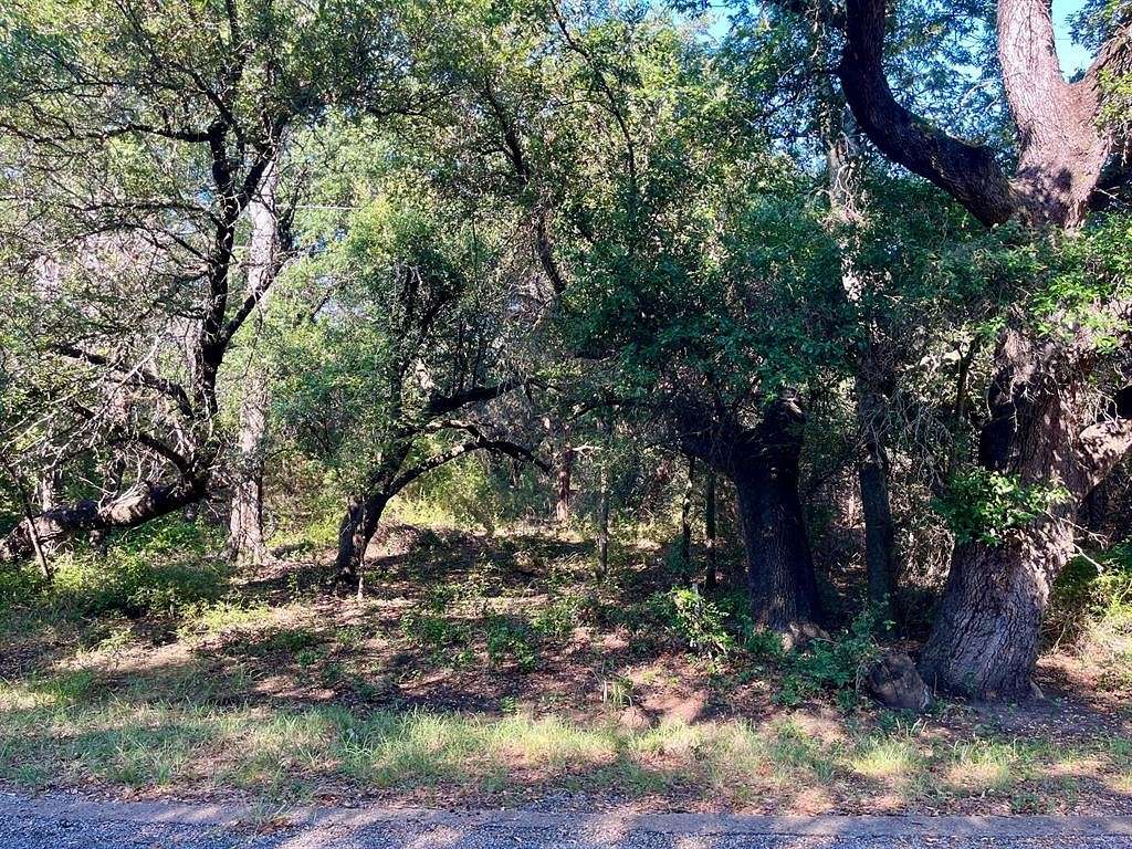 0.257 Acres of Residential Land for Sale in Whitney, Texas