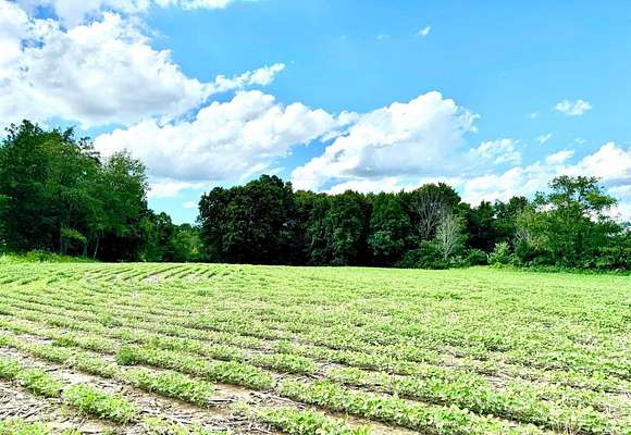 5 Acres of Residential Land for Sale in Osceola Town, Wisconsin