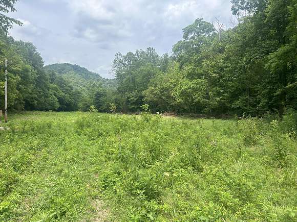 4 Acres of Land for Sale in Oneida, Kentucky