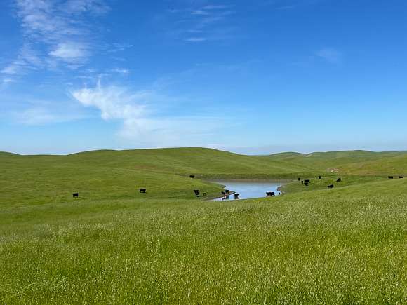 15000 Acres of Land for Sale in Catheys Valley, California