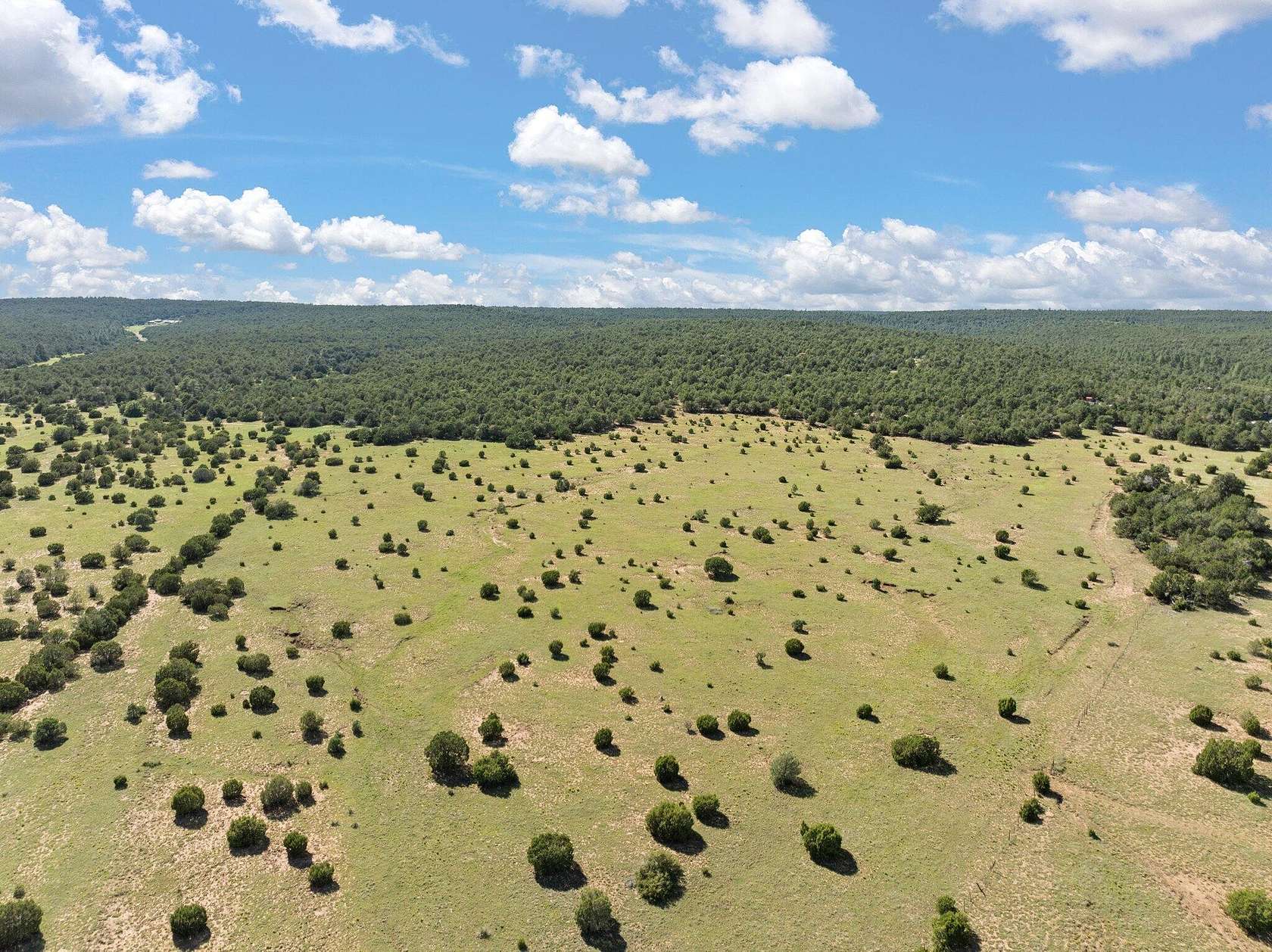 443.49 Acres of Recreational Land & Farm for Sale in Tijeras, New Mexico