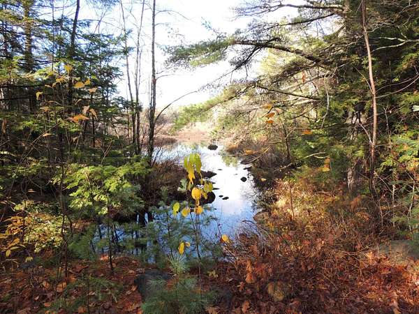 785 Acres of Recreational Land for Sale in Ossipee, New Hampshire