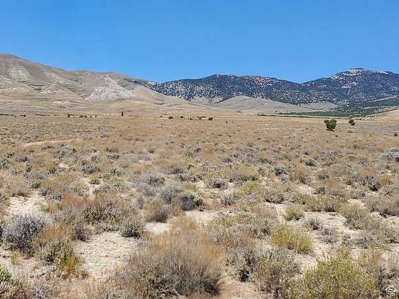 161.52 Acres of Recreational Land for Sale in Grouse Creek, Utah