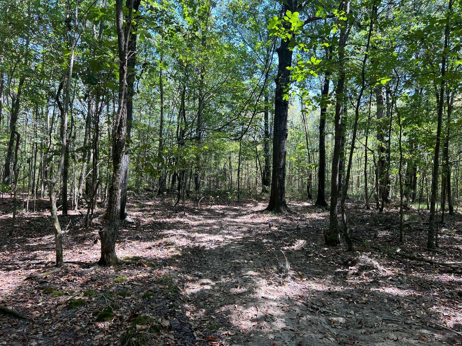 63 Acres of Recreational Land for Sale in Eudora, Arkansas