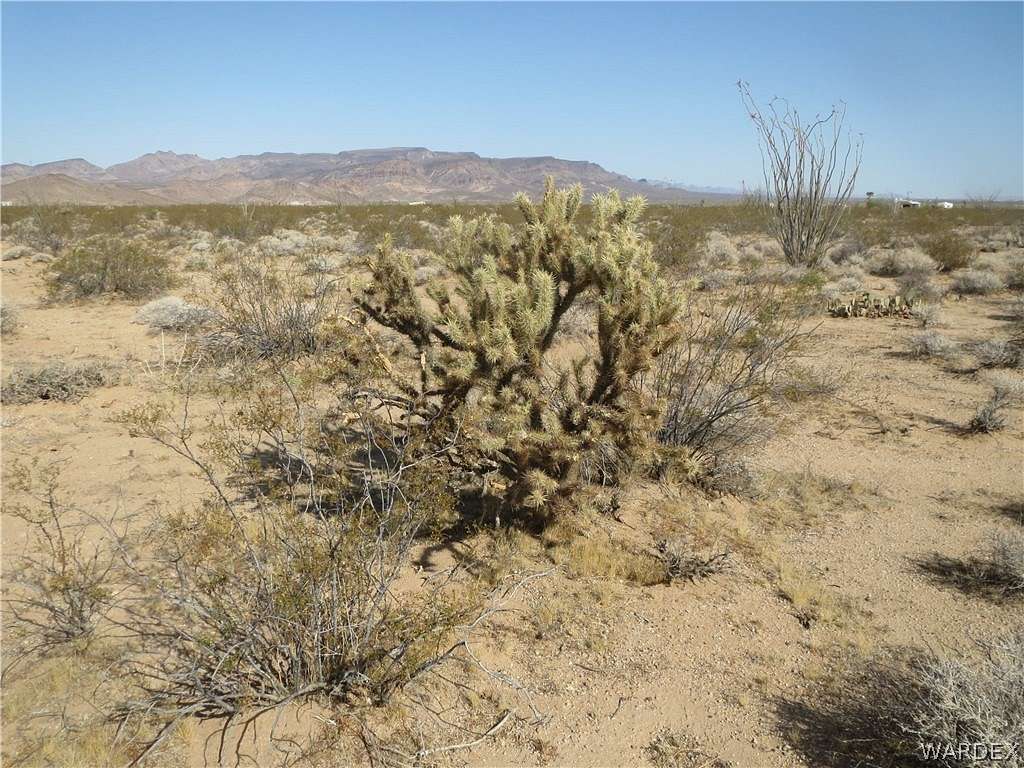 15 Acres of Land for Sale in Topock, Arizona