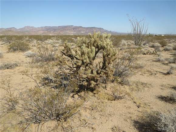 15 Acres of Agricultural Land for Sale in Topock, Arizona