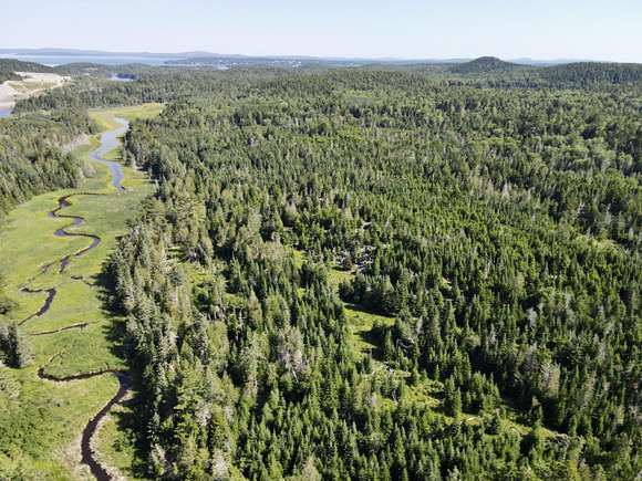 98 Acres of Recreational Land for Sale in Brooksville, Maine