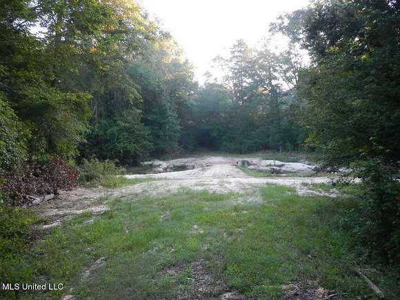 65 Acres of Recreational Land for Sale in Harrisville, Mississippi