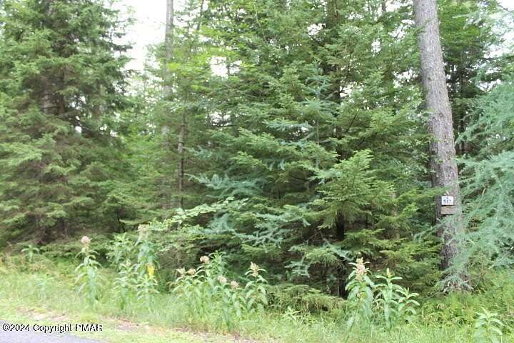 2 Acres of Residential Land for Sale in Pocono Lake, Pennsylvania