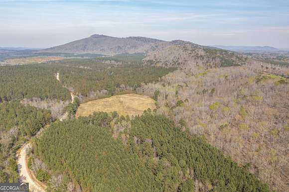 25 Acres of Land for Sale in Cedar Bluff, Alabama