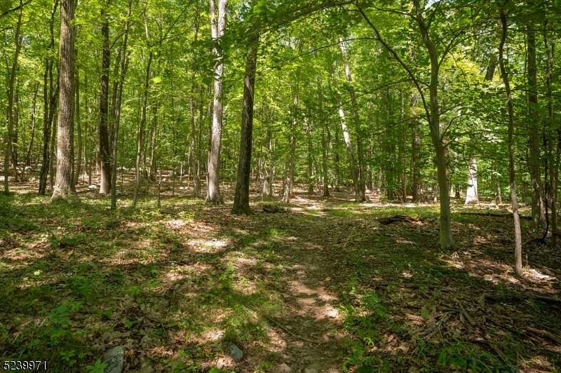 4.86 Acres of Residential Land for Sale in Montville Township, New Jersey