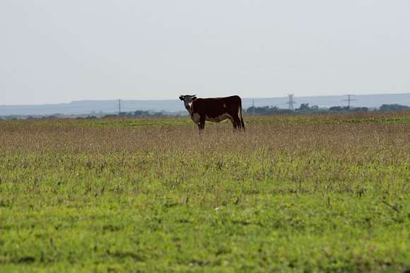 320 Acres of Land for Sale in Turkey, Texas