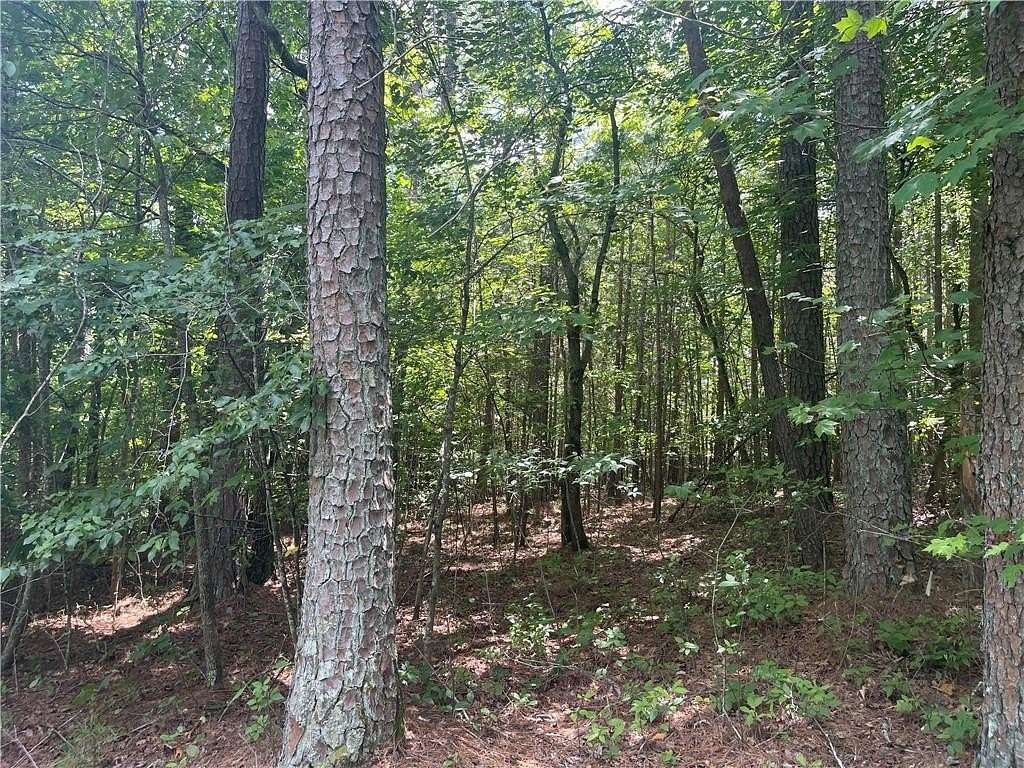 2.53 Acres of Residential Land for Sale in Jasper, Georgia