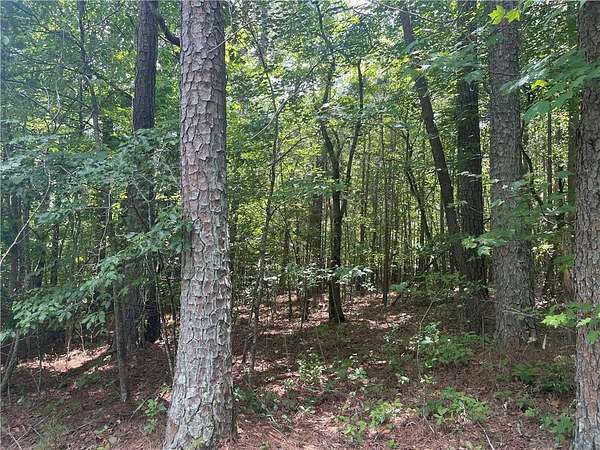 2.53 Acres of Residential Land for Sale in Jasper, Georgia