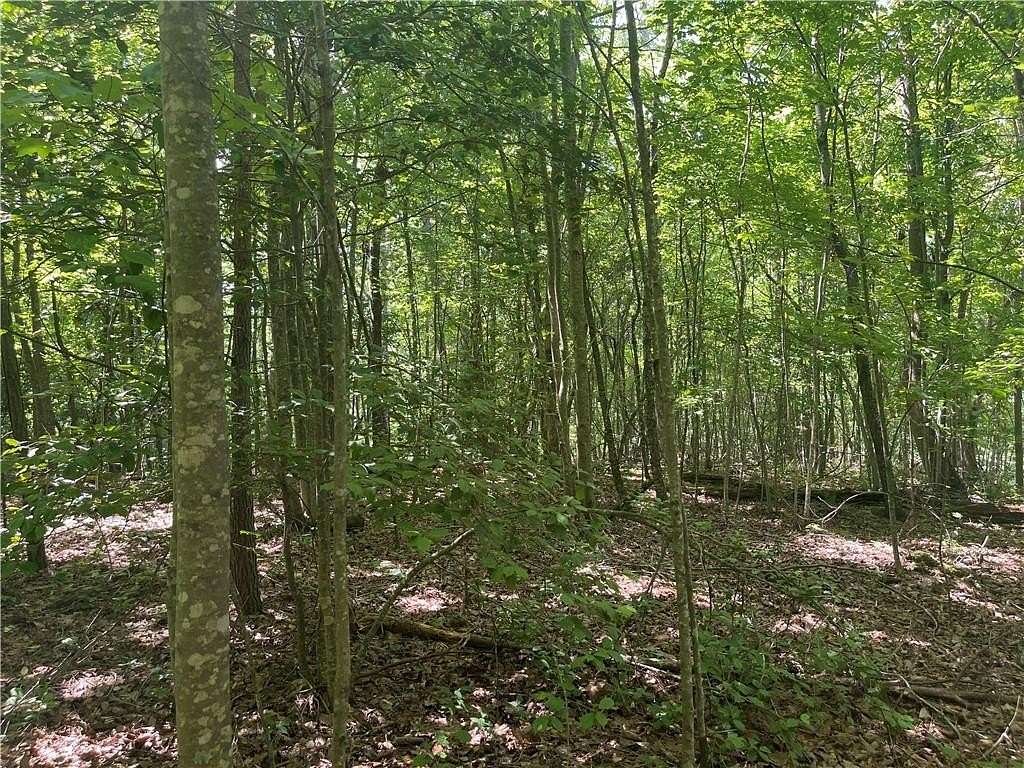 2.57 Acres of Residential Land for Sale in Jasper, Georgia