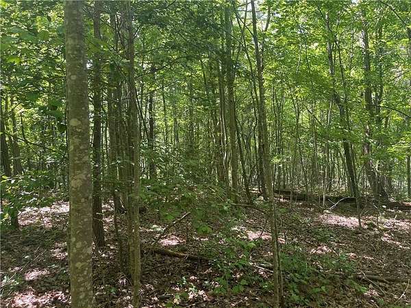 2.57 Acres of Residential Land for Sale in Jasper, Georgia
