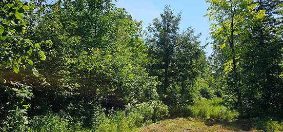 Secluded Sawyer Acreage For Sale