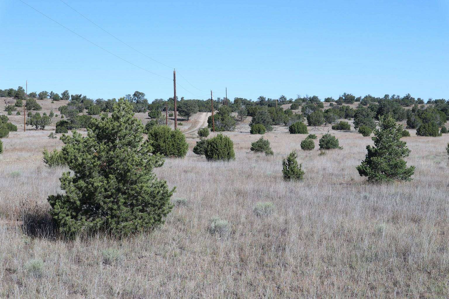 18.38 Acres of Land for Sale in Datil, New Mexico