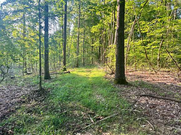 18.93 Acres of Recreational Land for Sale in Heltonville, Indiana
