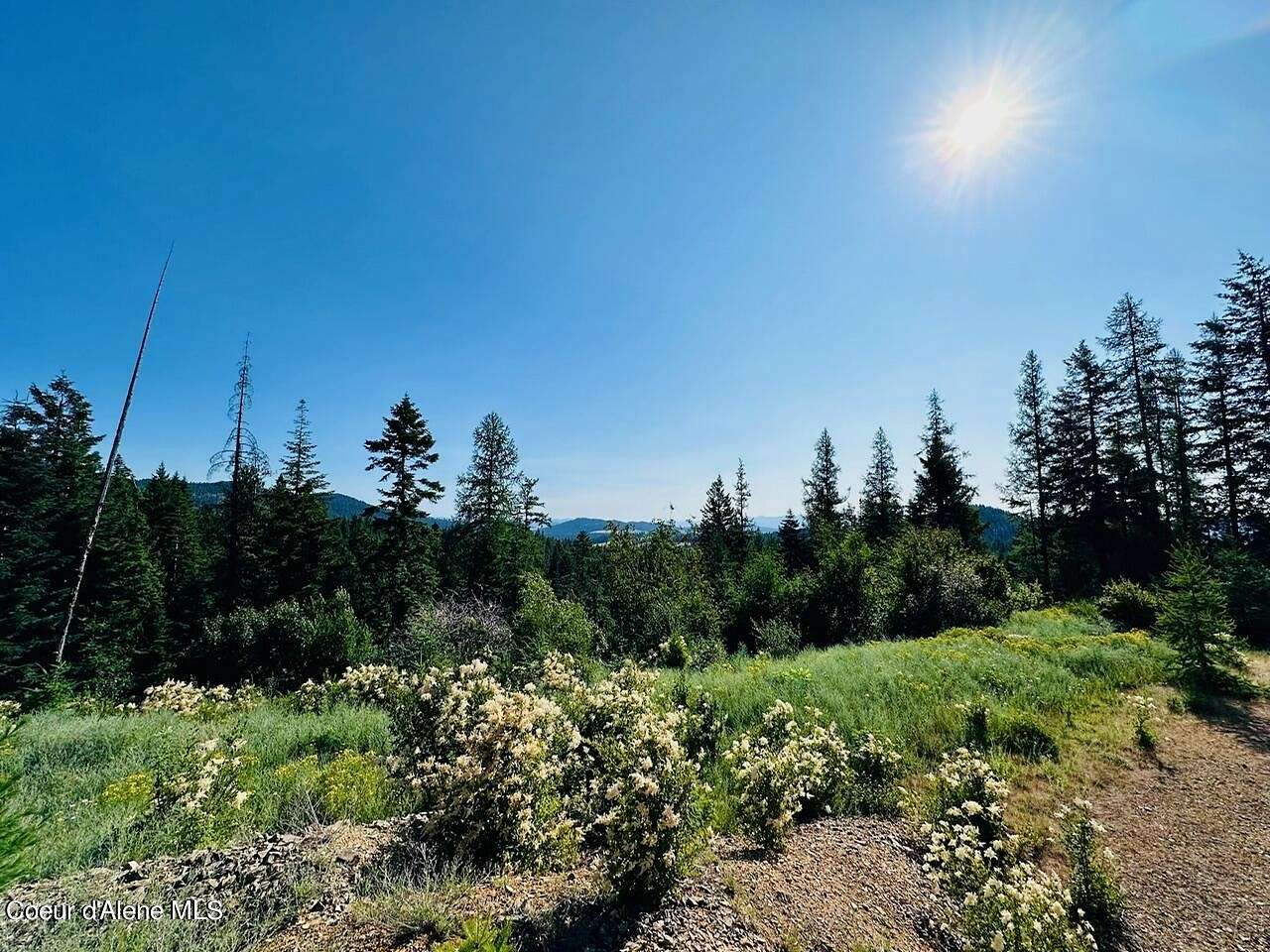 6.31 Acres of Mixed-Use Land for Sale in Plummer, Idaho