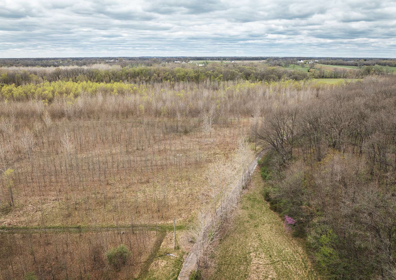 75 Acres of Recreational Land & Farm for Sale in Worden, Illinois