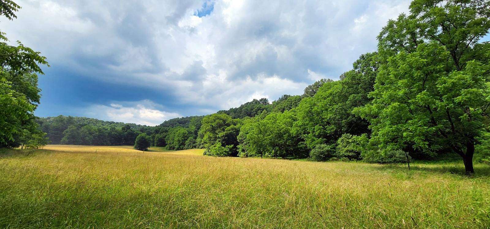 91 Acres of Recreational Land for Sale in Williamsburg, West Virginia