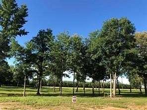 1.23 Acres of Land for Sale in Deville, Louisiana