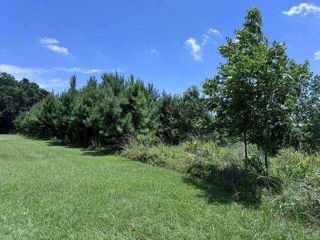 1.33 Acres of Residential Land for Sale in Meggett, South Carolina