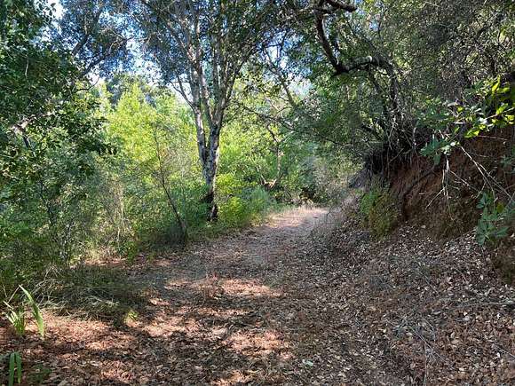 1.28 Acres of Residential Land for Sale in Los Gatos, California