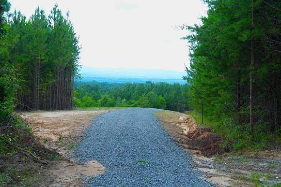 157 Acres of Recreational Land for Sale in Cleveland, Alabama