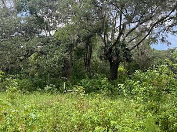 0.46 Acres of Residential Land for Sale in Micanopy, Florida