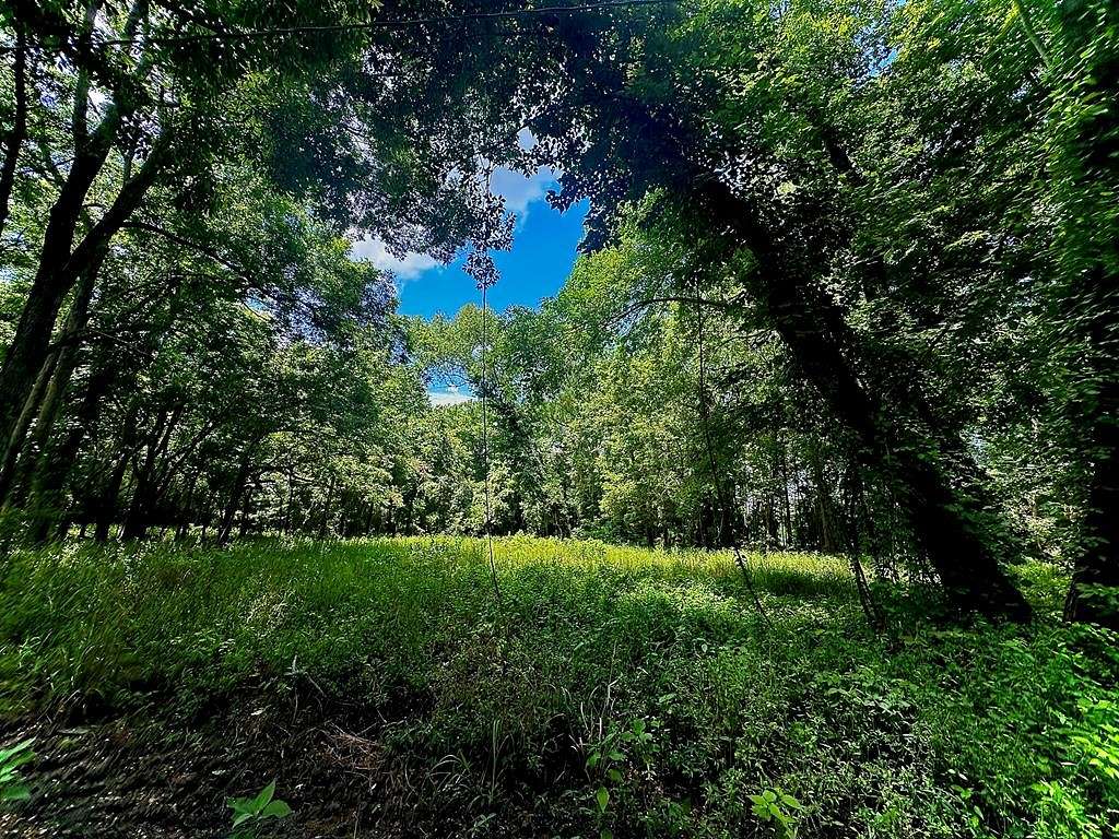 2.07 Acres of Land for Sale in Woodville, Mississippi