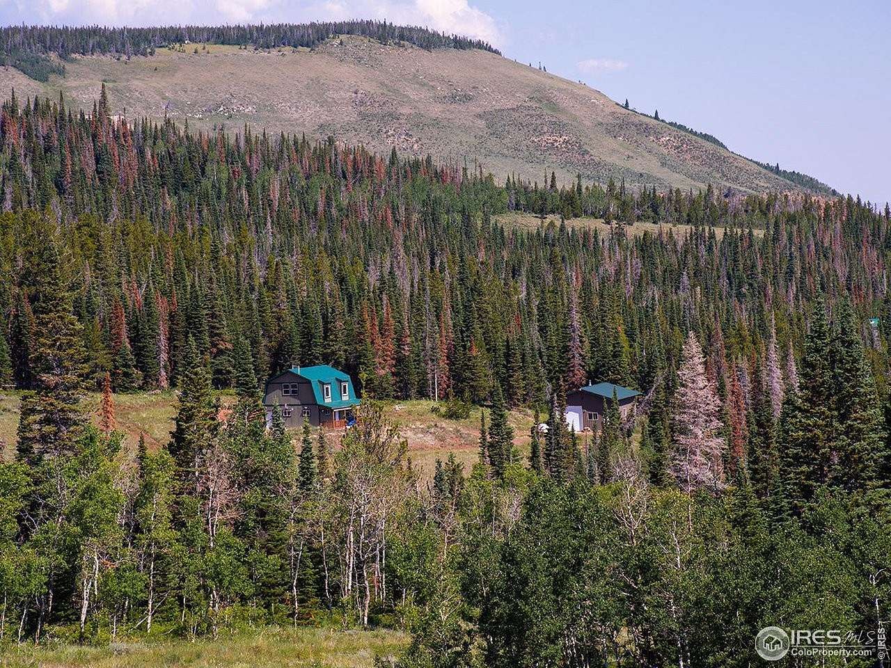 36 Acres of Recreational Land with Home for Sale in Red Feather Lakes, Colorado