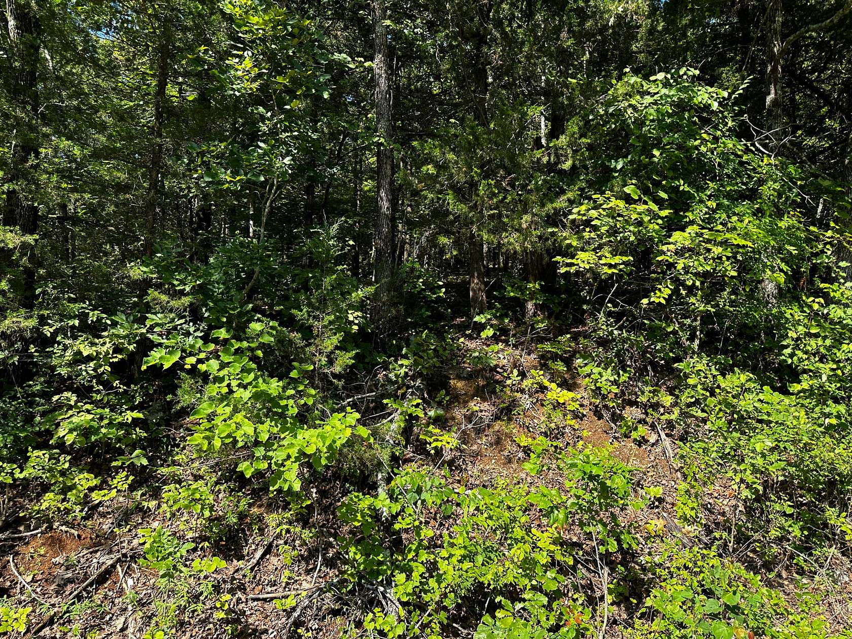 0.4 Acres of Residential Land for Sale in Cherokee Village, Arkansas