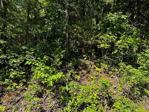 0.4 Acres of Residential Land for Sale in Cherokee Village, Arkansas