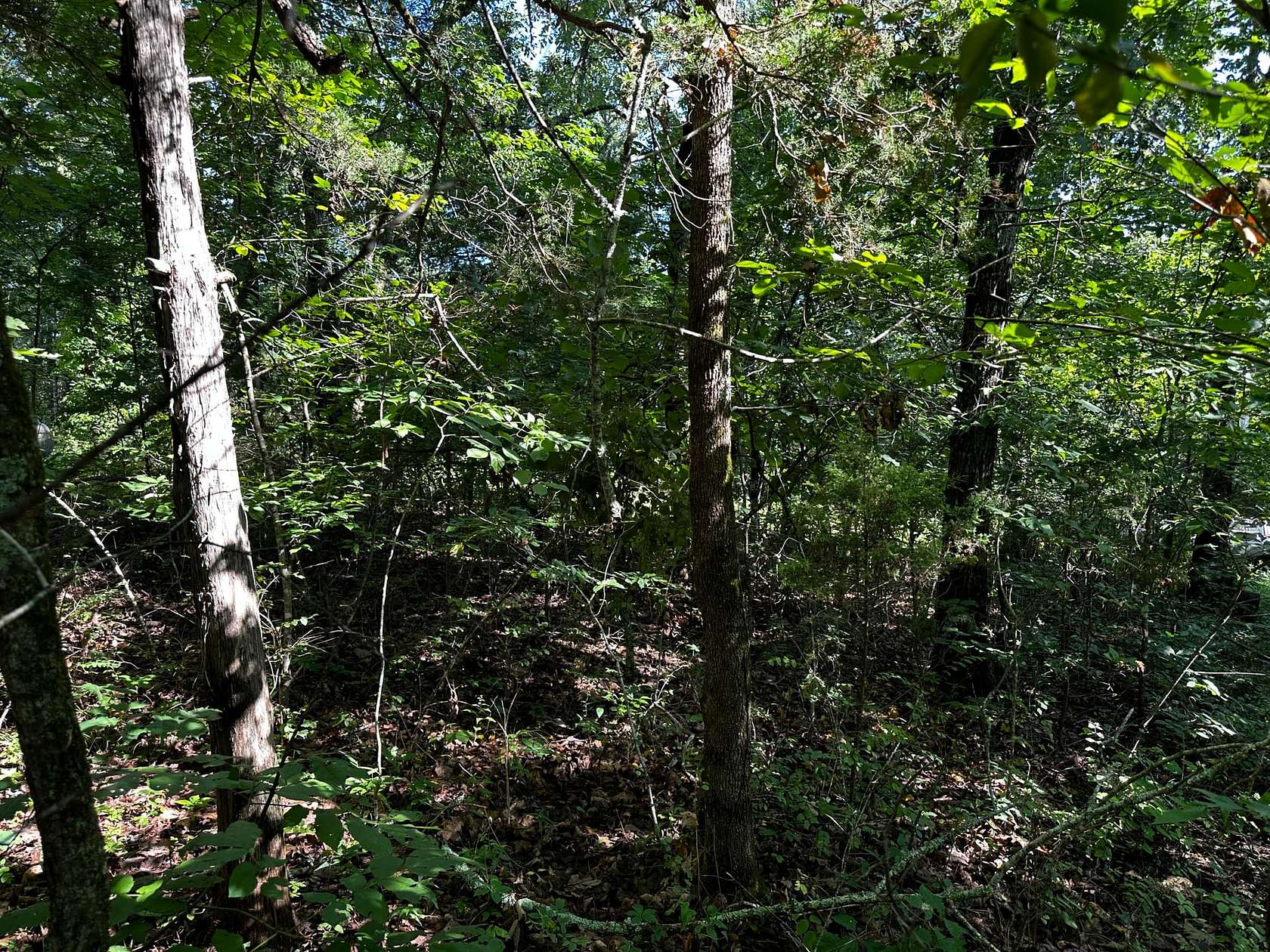 0.1 Acres of Residential Land for Sale in Cherokee Village, Arkansas