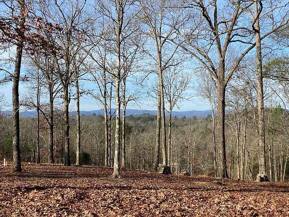 1.08 Acres of Land for Sale in Mineral Bluff, Georgia