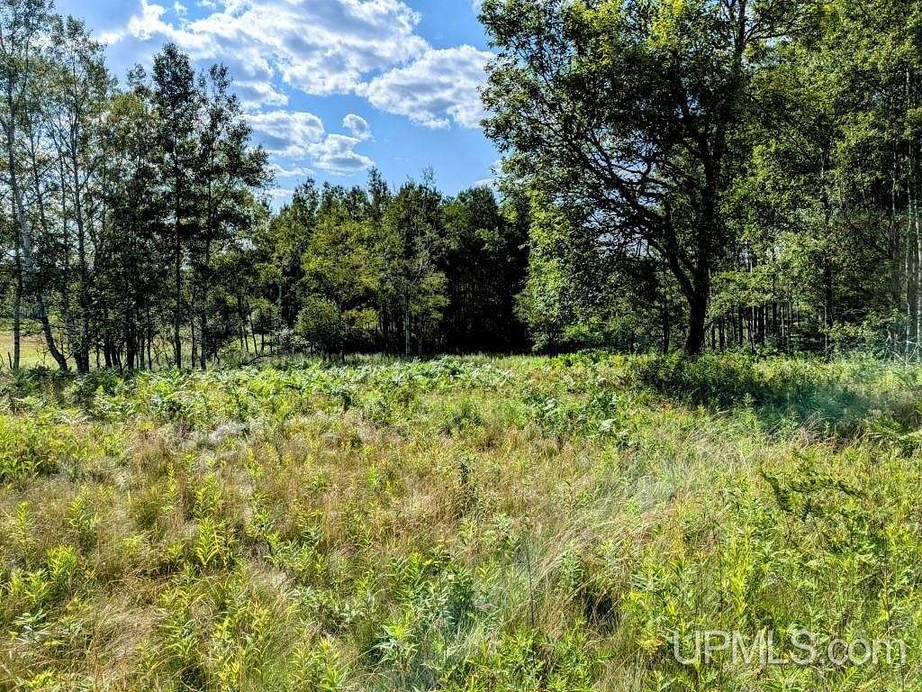25 Acres of Recreational Land for Sale in Iron River, Michigan