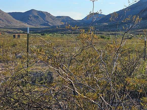 20 Acres of Recreational Land for Sale in Terlingua, Texas