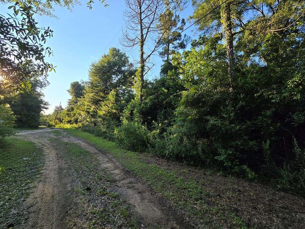 1.4 Acres of Residential Land for Sale in Midland City, Alabama