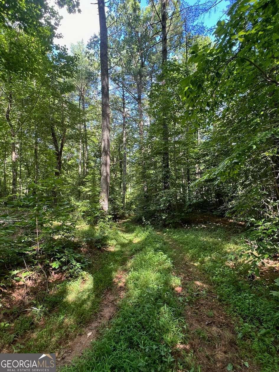 2.97 Acres of Residential Land for Sale in Mountain City, Georgia