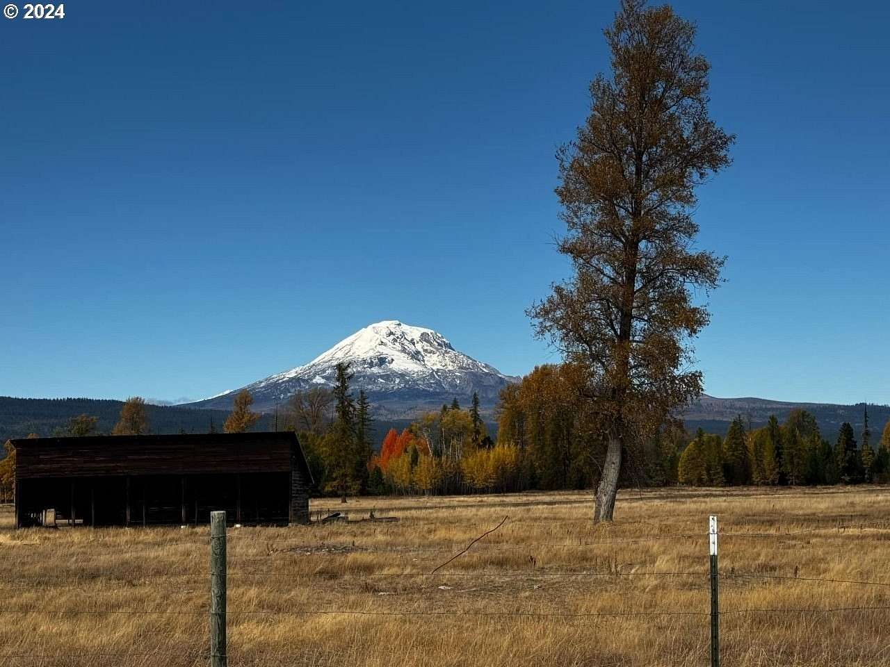 110 Acres of Land for Sale in Glenwood, Washington