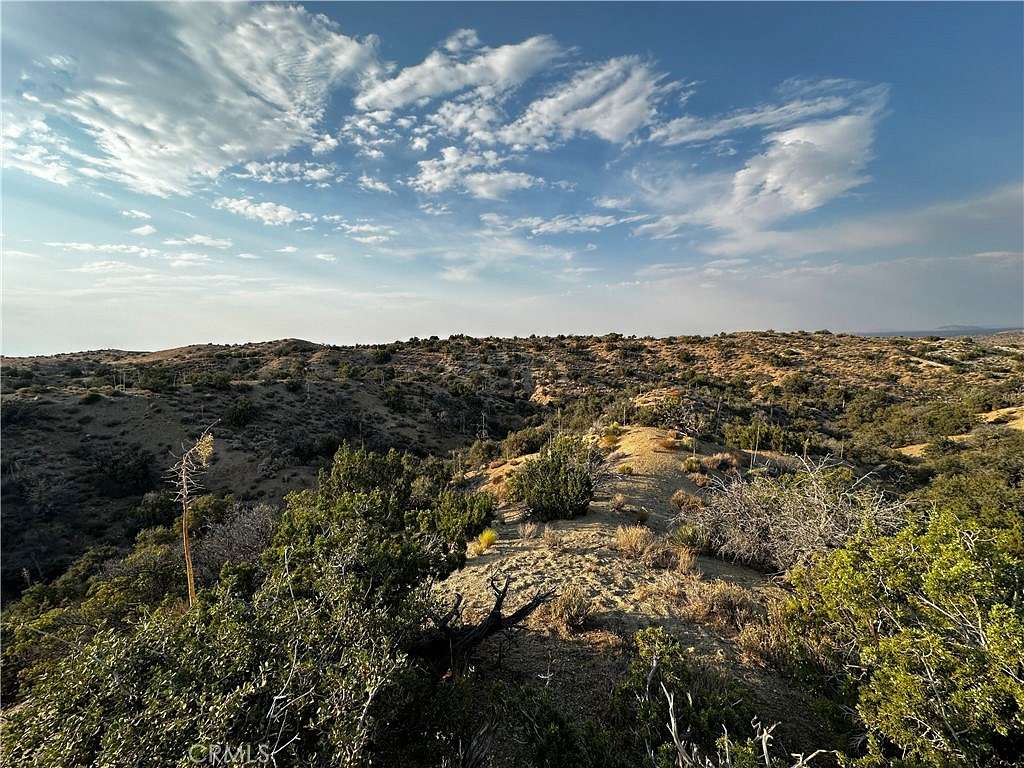 10 Acres of Recreational Land for Sale in Juniper Hills, California