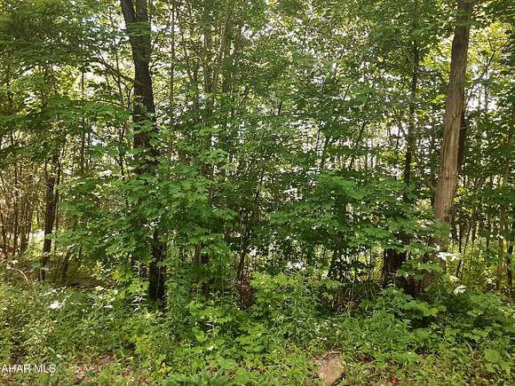 15.7 Acres of Land for Sale in Portage, Pennsylvania