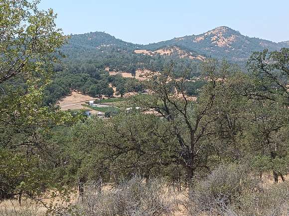 22.21 Acres of Agricultural Land for Sale in Angels Camp, California